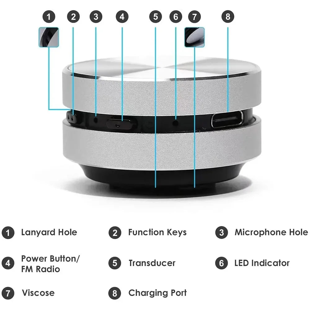 2024 Hot Bone Conduction Bluetooth-Compatible TWS Wireless Stereo Sound Hummingbird Speaker With FM Radio