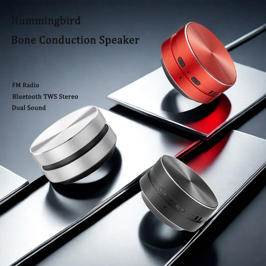 2024 Hot Bone Conduction Bluetooth-Compatible TWS Wireless Stereo Sound Hummingbird Speaker With FM Radio